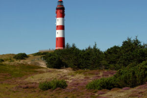 Amrum 2014 (203)