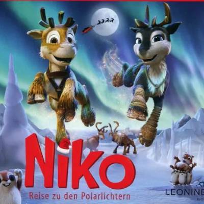 Titelbild-Niko-Reise zu den Polarlichtern